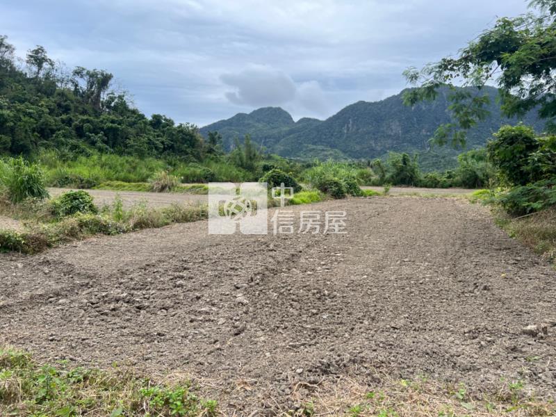 (專任)台東東河漂亮農地房屋室內格局與周邊環境