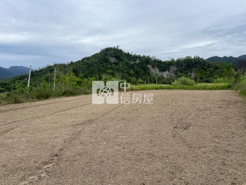 (專任)台東東河漂亮農地房屋室內格局與周邊環境