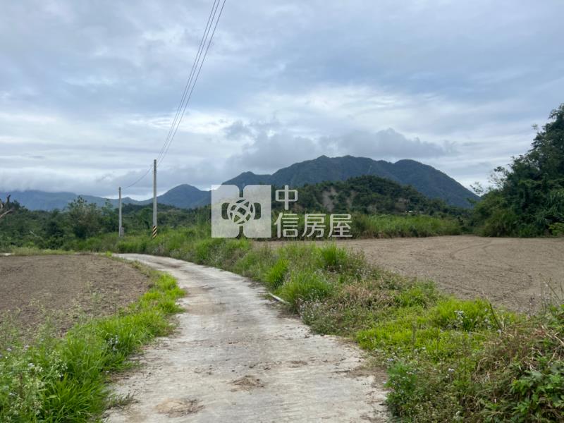 (專任)台東東河漂亮農地房屋室內格局與周邊環境