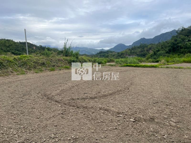 (專任)台東東河漂亮農地房屋室內格局與周邊環境