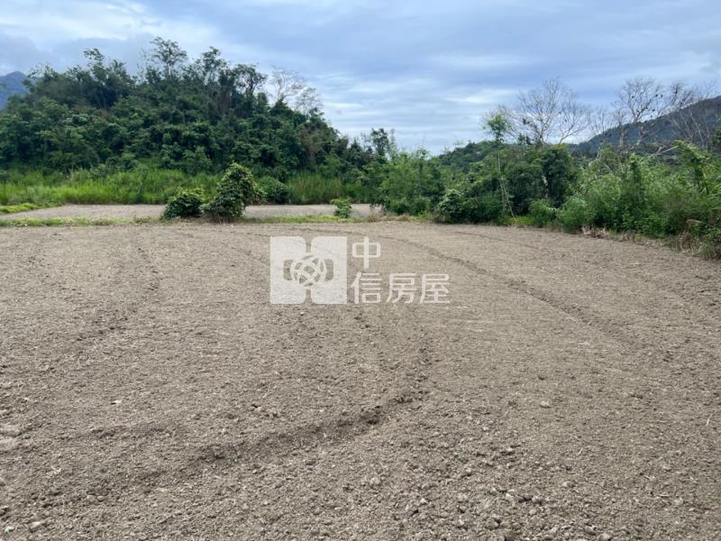 (專任)台東東河漂亮農地房屋室內格局與周邊環境