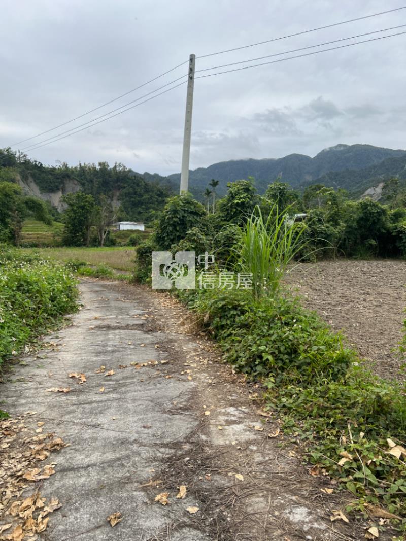 (專任)台東東河漂亮農地房屋室內格局與周邊環境