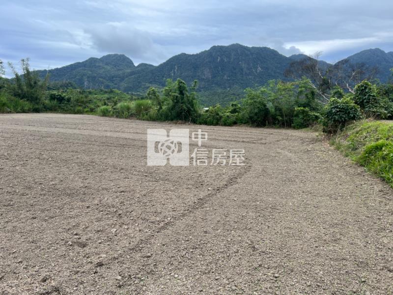 (專任)台東東河漂亮農地房屋室內格局與周邊環境