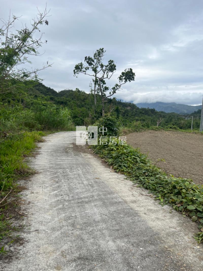 (專任)台東東河漂亮農地房屋室內格局與周邊環境