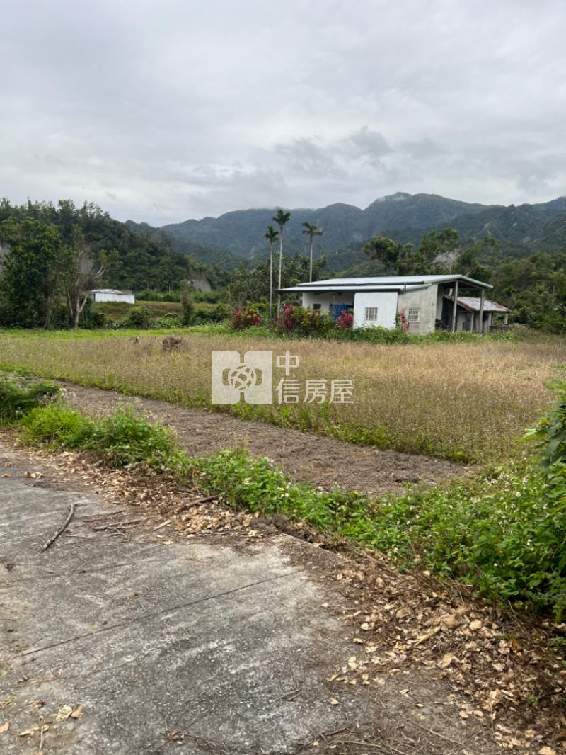 (專任)台東東河漂亮農地房屋室內格局與周邊環境