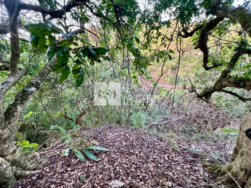 低總價果樹土地房屋室內格局與周邊環境