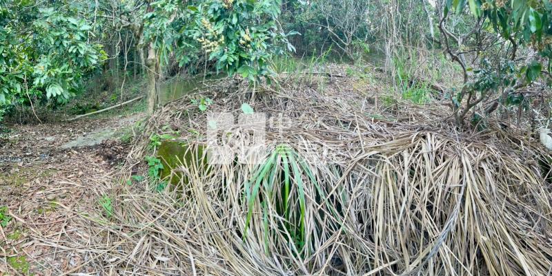 低總價果樹土地房屋室內格局與周邊環境
