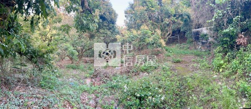低總價果樹土地房屋室內格局與周邊環境