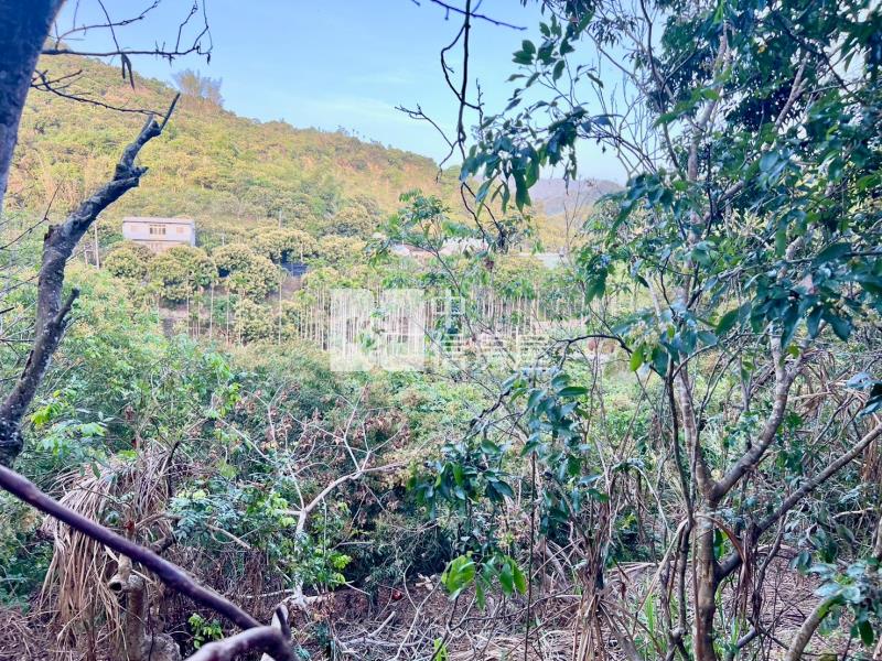 低總價果樹土地房屋室內格局與周邊環境