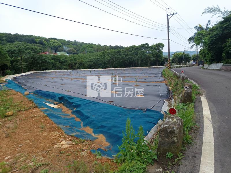 【奔馳】蘆竹後面坑農地905坪房屋室內格局與周邊環境