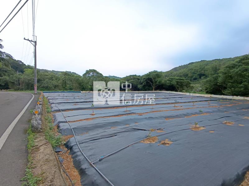 【奔馳】蘆竹後面坑農地905坪房屋室內格局與周邊環境