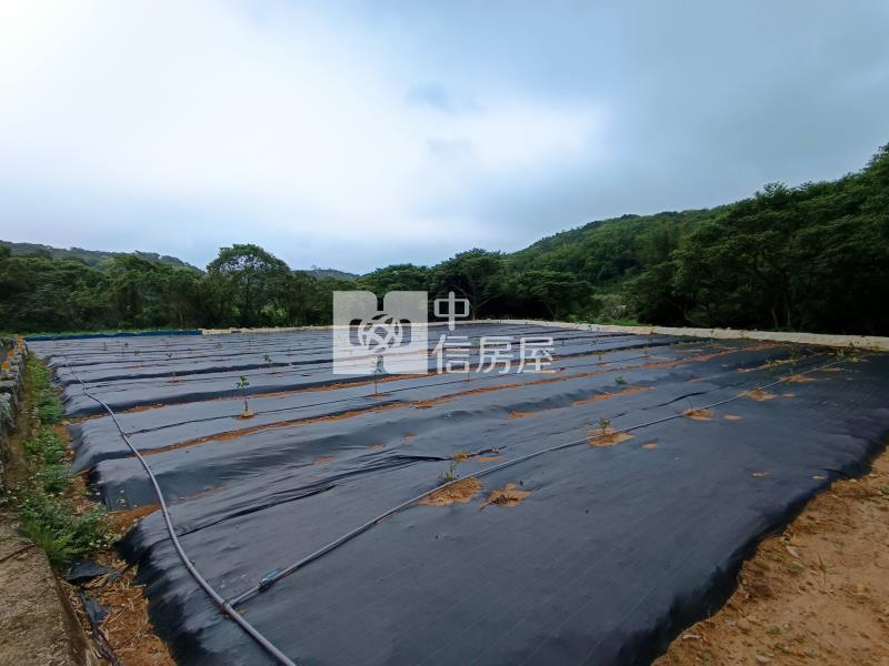 【奔馳】蘆竹後面坑農地905坪房屋室內格局與周邊環境