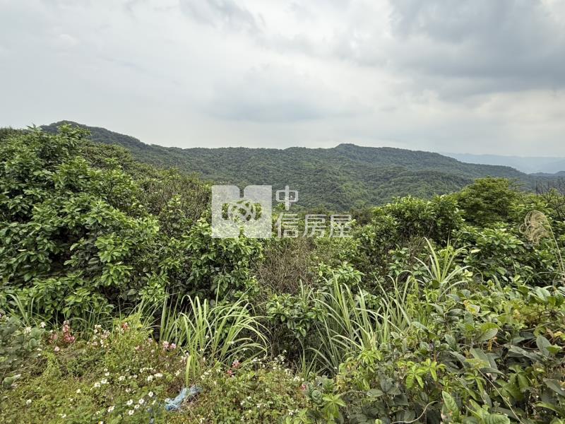 H-5華新二路臨路開心農場房屋室內格局與周邊環境