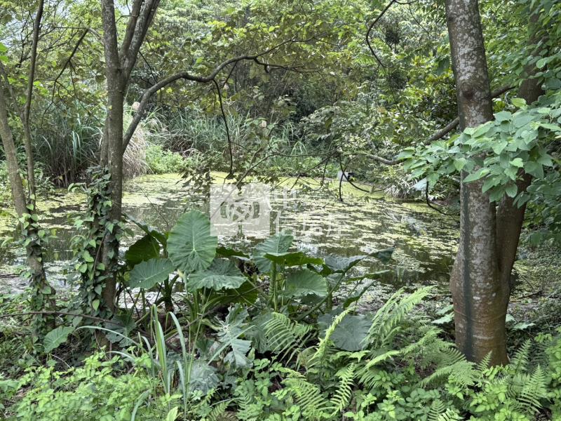 H-5華新二路臨路開心農場房屋室內格局與周邊環境
