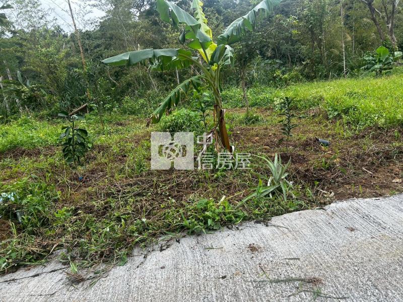 關西小筆農地房屋室內格局與周邊環境