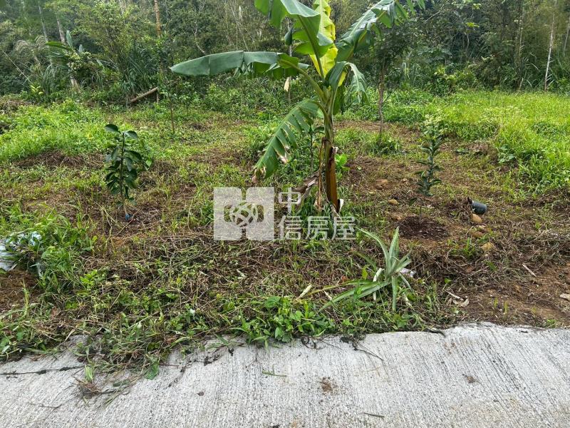 關西小筆農地房屋室內格局與周邊環境