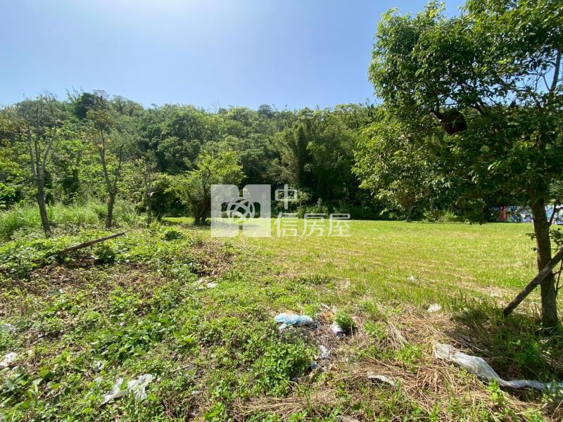 大溪康郡園區丁建房屋室內格局與周邊環境