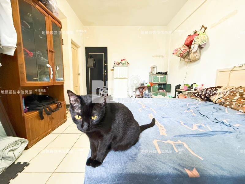 出價談!龍潭凱悅龍門景觀套房房屋室內格局與周邊環境