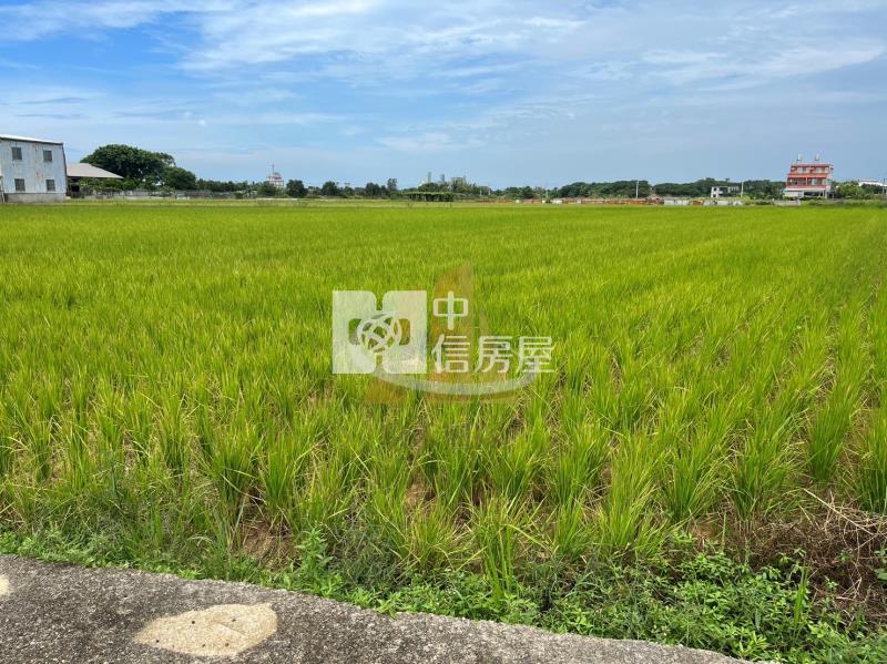 【玖禾】大坡國小旁大面寬農地房屋室內格局與周邊環境