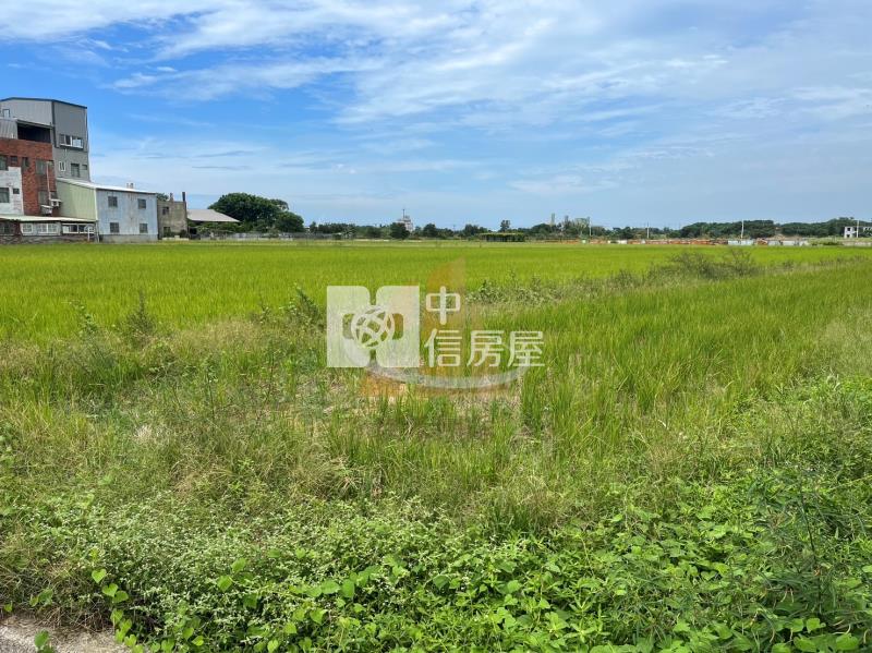 【玖禾】大坡國小旁大面寬農地房屋室內格局與周邊環境