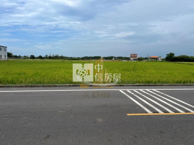 【玖禾】大坡國小旁大面寬農地房屋室內格局與周邊環境