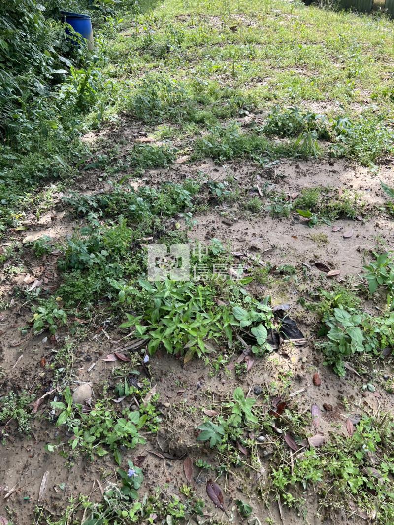 新埔雙面臨路農地(近秀才路)房屋室內格局與周邊環境