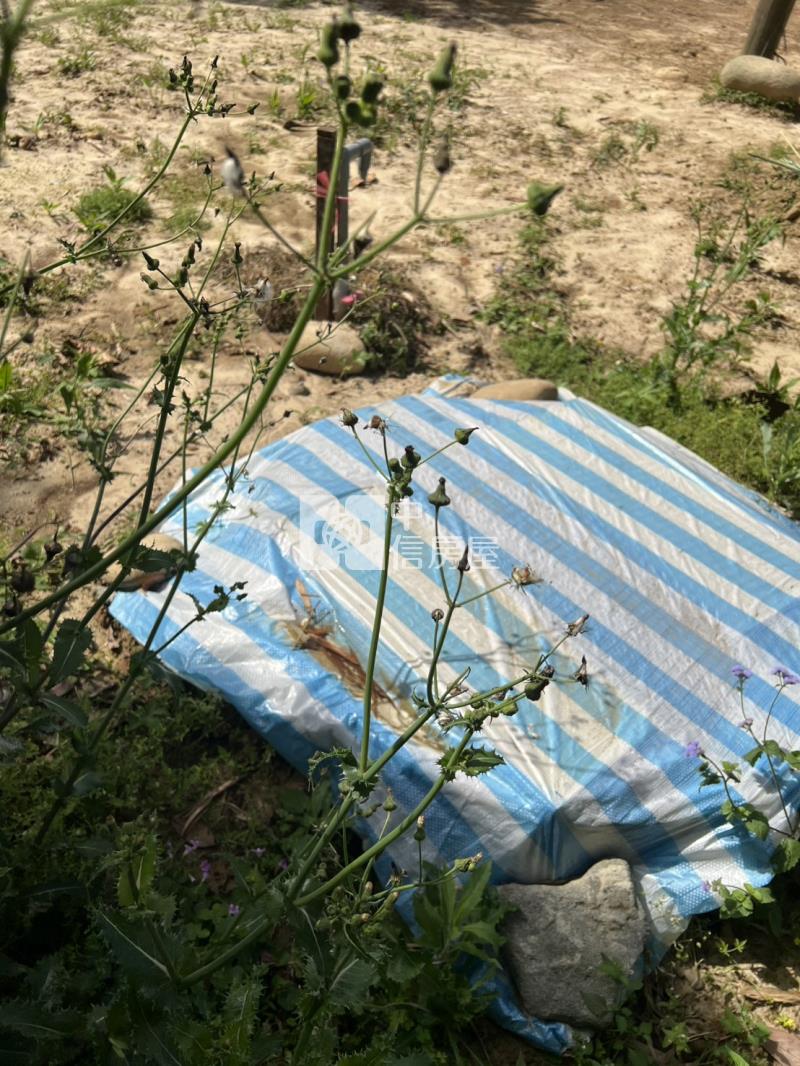 新埔雙面臨路農地(近秀才路)房屋室內格局與周邊環境
