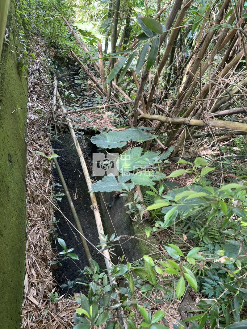 新埔雙面臨路農地(近秀才路)房屋室內格局與周邊環境