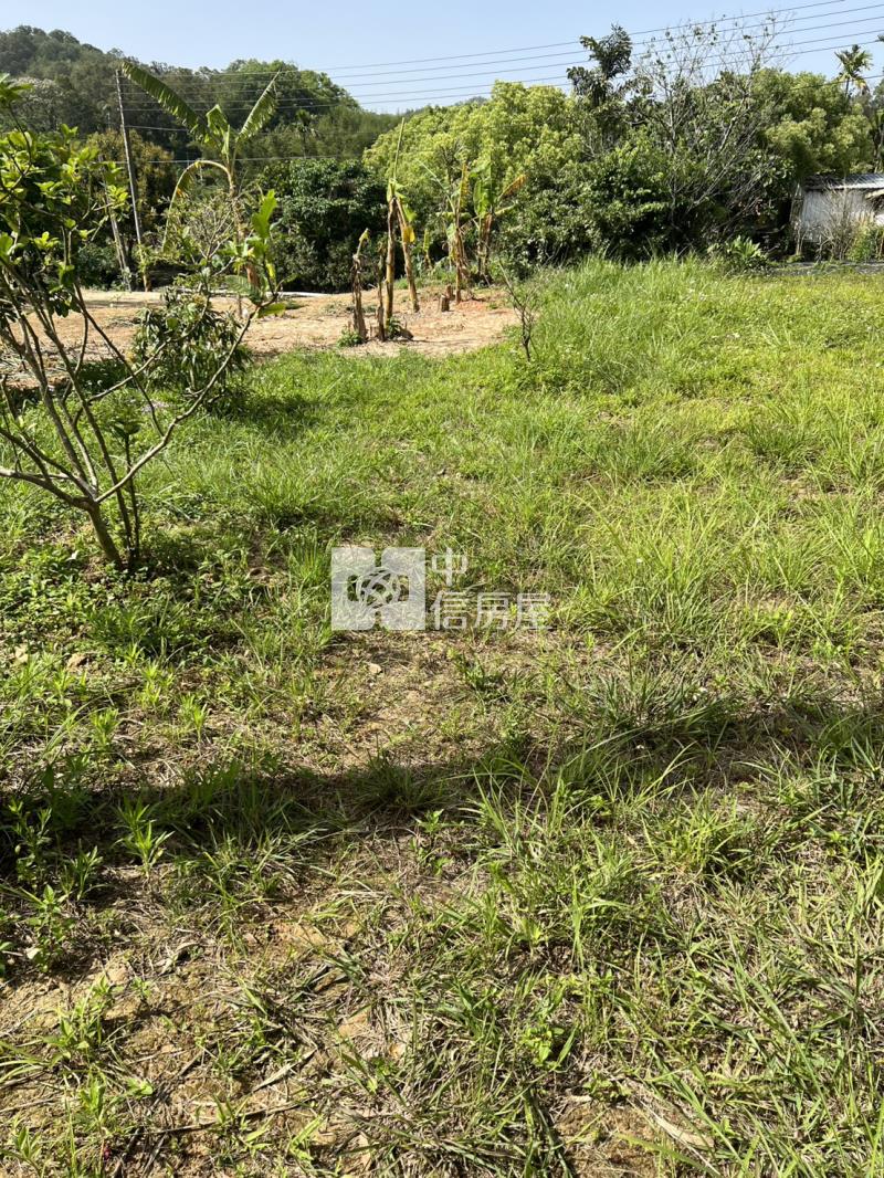 新埔雙面臨路農地(近秀才路)房屋室內格局與周邊環境
