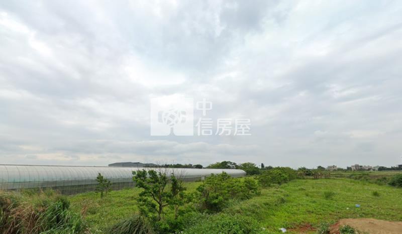 觀音藍埔段便宜農地房屋室內格局與周邊環境