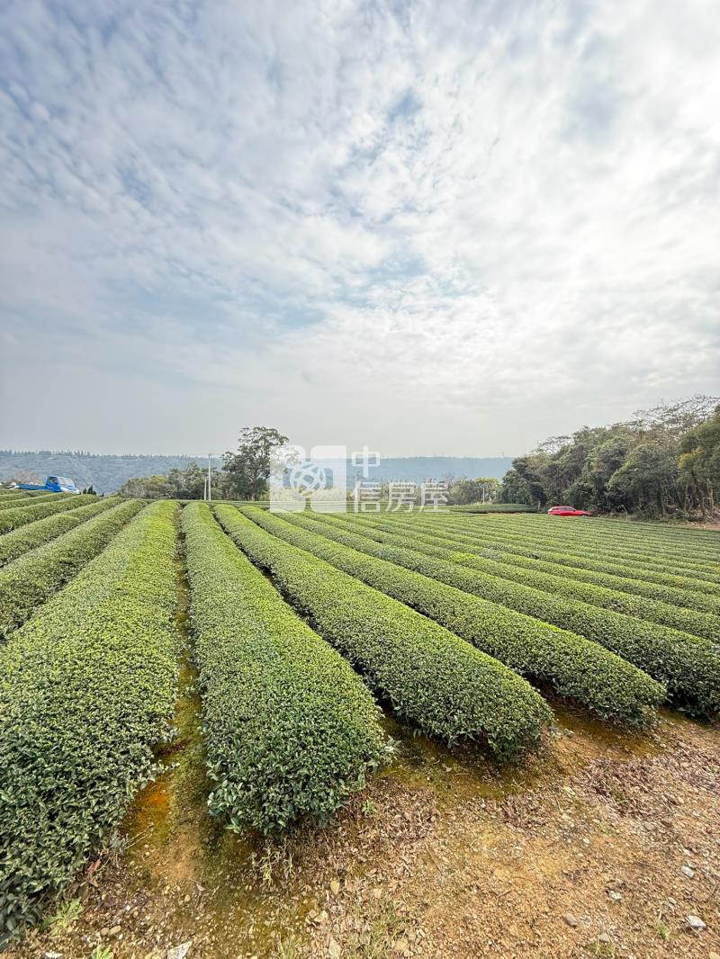 【安家】龍潭區北坑段茶園房屋室內格局與周邊環境