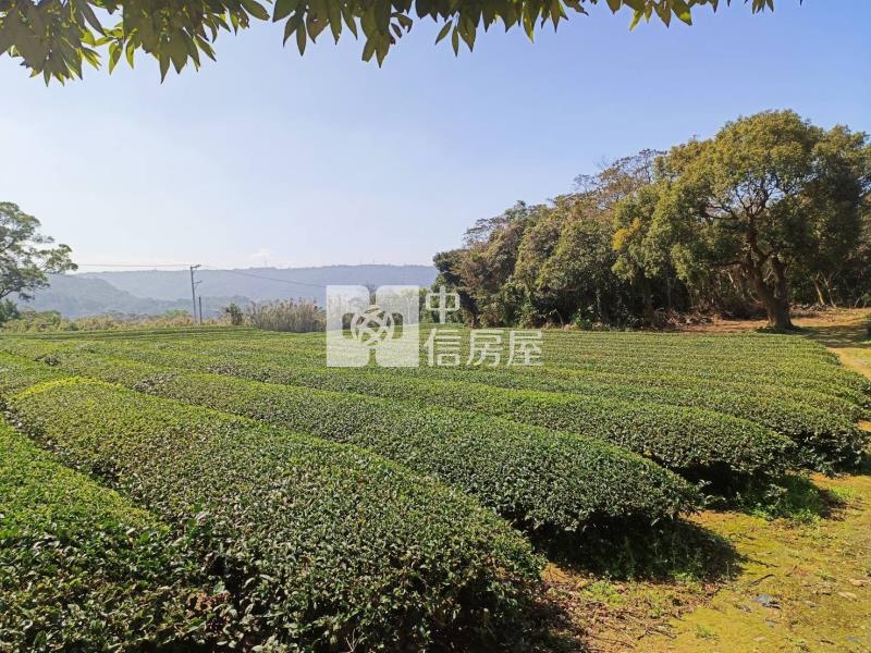 【安家】龍潭區北坑段茶園房屋室內格局與周邊環境