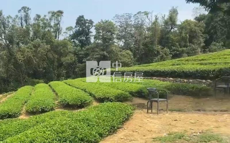 【安家】龍潭區北坑段茶園房屋室內格局與周邊環境