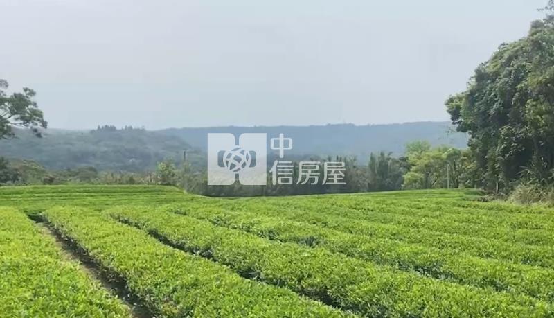 【安家】龍潭區北坑段茶園房屋室內格局與周邊環境