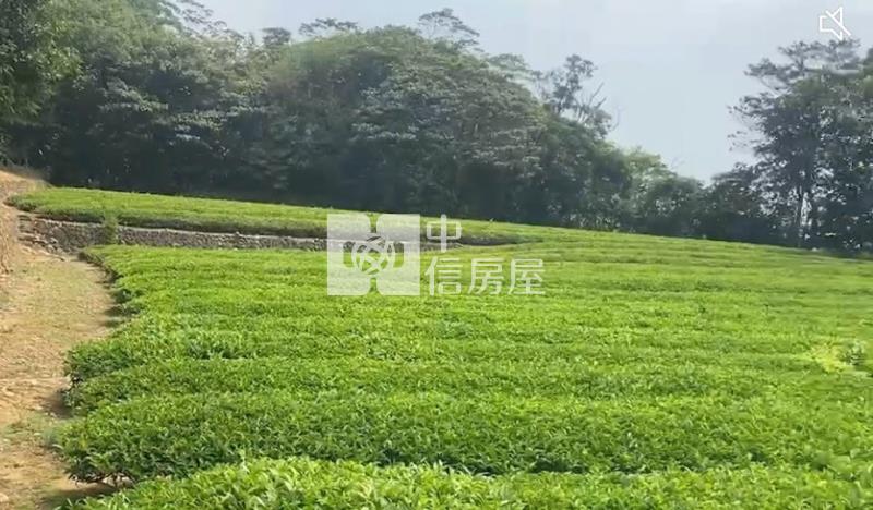 【安家】龍潭區北坑段茶園房屋室內格局與周邊環境