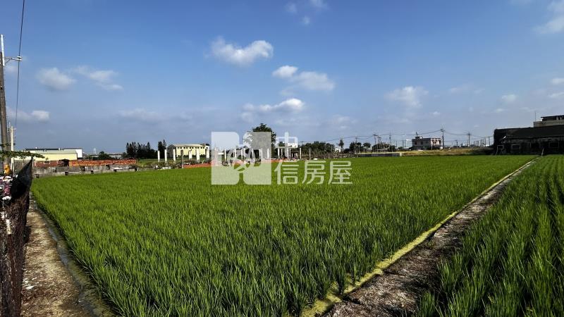 鹿草都市計畫內農地房屋室內格局與周邊環境