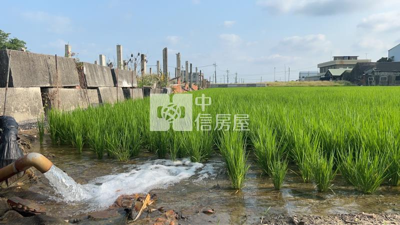 鹿草都市計畫內農地房屋室內格局與周邊環境