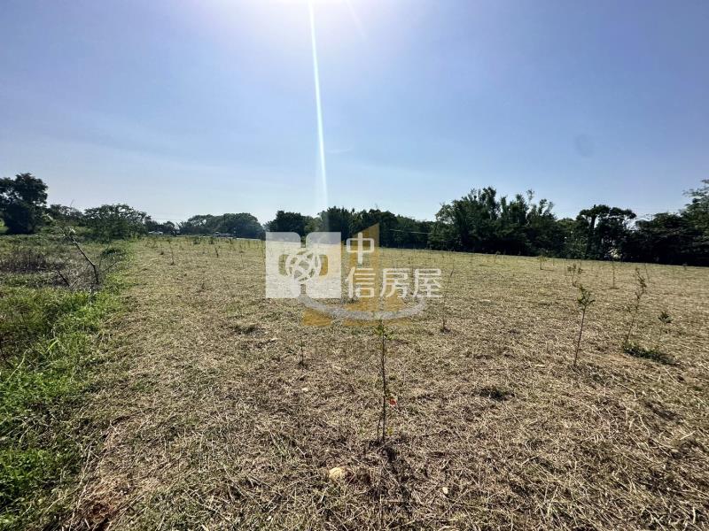 【玖禾】新屋高上路大坪數農地房屋室內格局與周邊環境