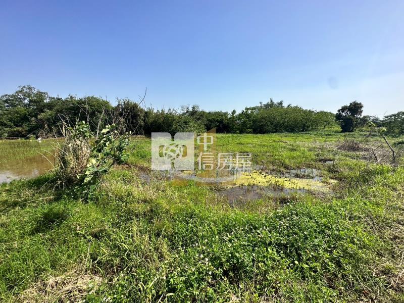 【玖禾】新屋高上路大坪數農地房屋室內格局與周邊環境