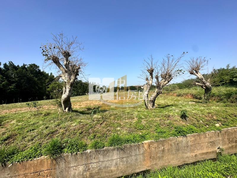 【玖禾】新屋高上路大坪數農地房屋室內格局與周邊環境