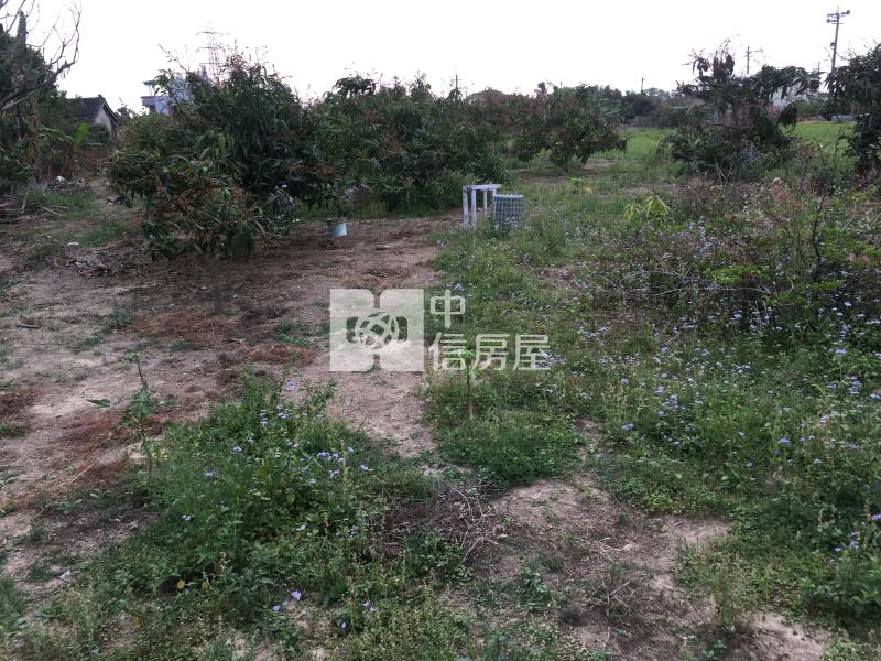 新化區那拔林庄內持分建地房屋室內格局與周邊環境