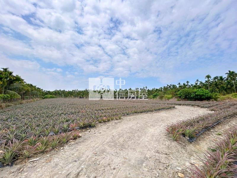 屏東土地 長治交流道福地旁便宜農地房屋室內格局與周邊環境