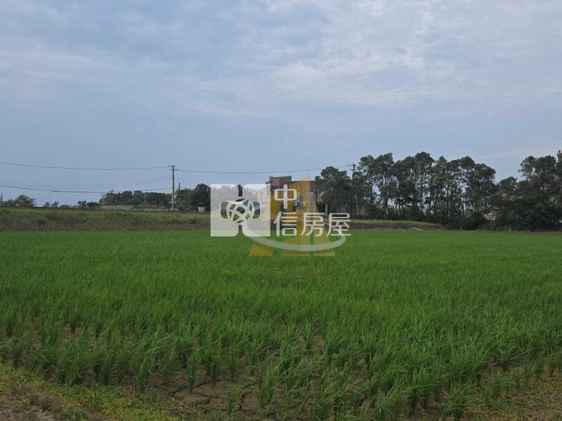 【玖禾】大坡美田房屋室內格局與周邊環境