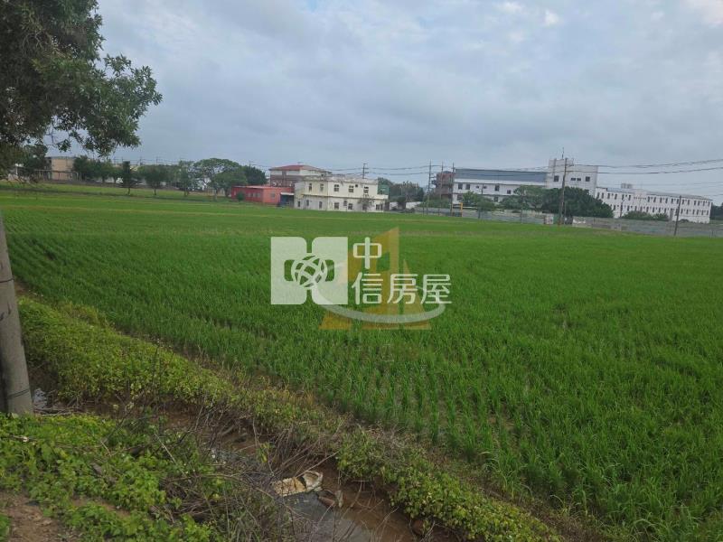 【玖禾】大坡美田房屋室內格局與周邊環境