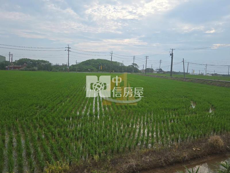 【玖禾】大坡美田房屋室內格局與周邊環境