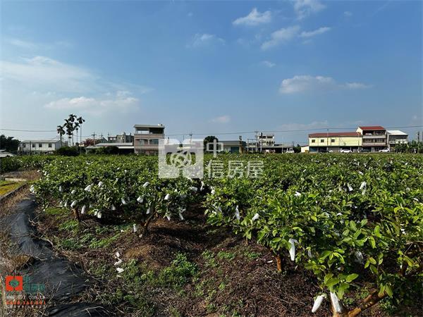 中埔離塵不離城有水電大地坪休閒農地-891嘉義房地產房屋室內格局與周邊環境