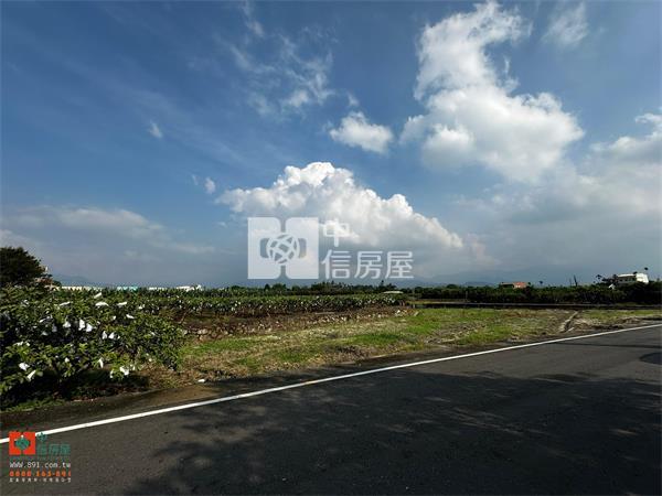 中埔離塵不離城有水電大地坪休閒農地-891嘉義房地產房屋室內格局與周邊環境
