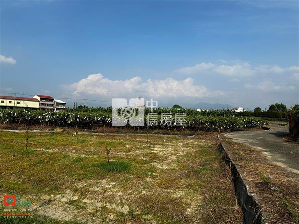中埔離塵不離城有水電大地坪休閒農地-891嘉義房地產房屋室內格局與周邊環境