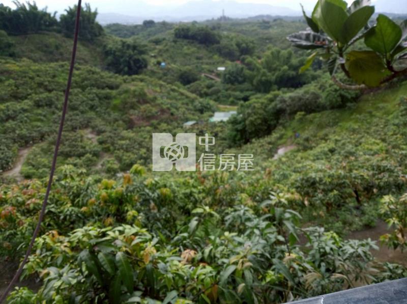 九層林3137坪果園山坡地房屋室內格局與周邊環境
