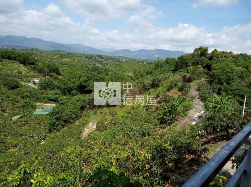 九層林3137坪果園山坡地房屋室內格局與周邊環境